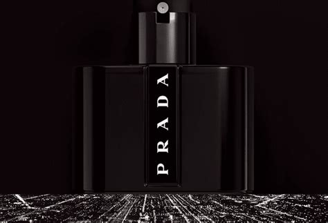 prada black perfume notes|prada black perfume review.